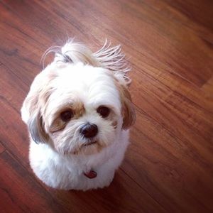 Meet your Posher, Tianna